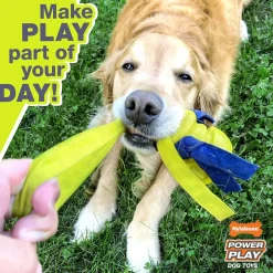 Nylabone Power Play Football Gripz Dog Toy