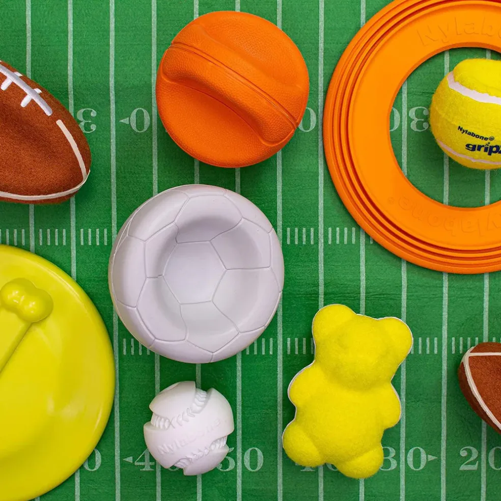 Nylabone Power Play Tennis Teddy Gripz Bear Dog Toy, Medium/Wolf