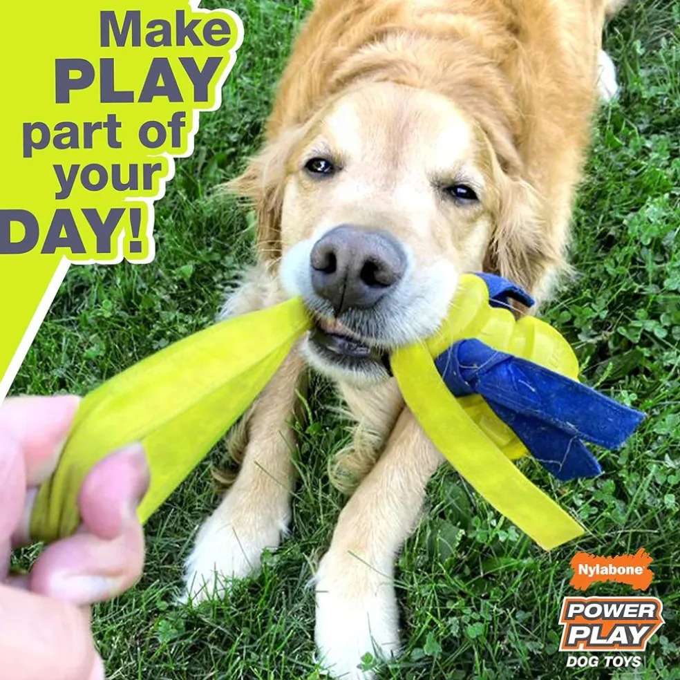 Nylabone Power Play Tennis Teddy Gripz Bear Dog Toy, Medium/Wolf