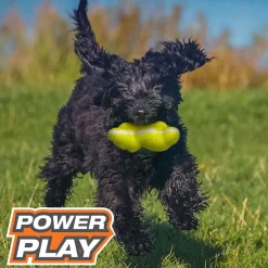 Nylabone Power Play Tennis Teddy Gripz Bear Dog Toy, Medium/Wolf