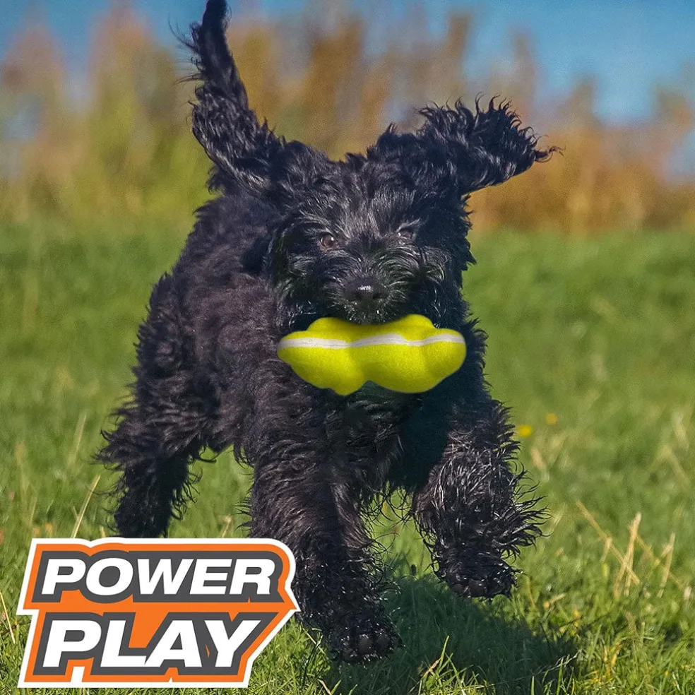 Nylabone Power Play Tennis Teddy Gripz Bear Dog Toy, Medium/Wolf