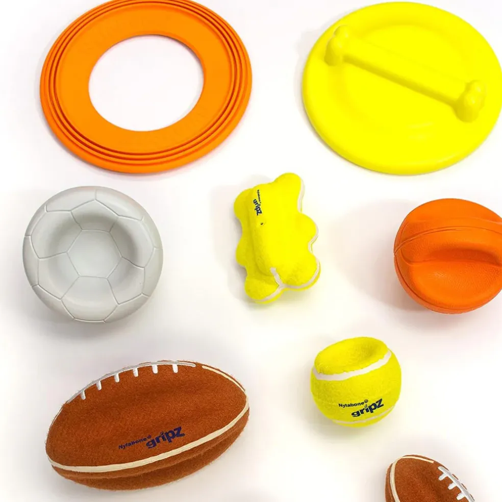Nylabone Power Play Tennis Teddy Gripz Bear Dog Toy, Medium/Wolf