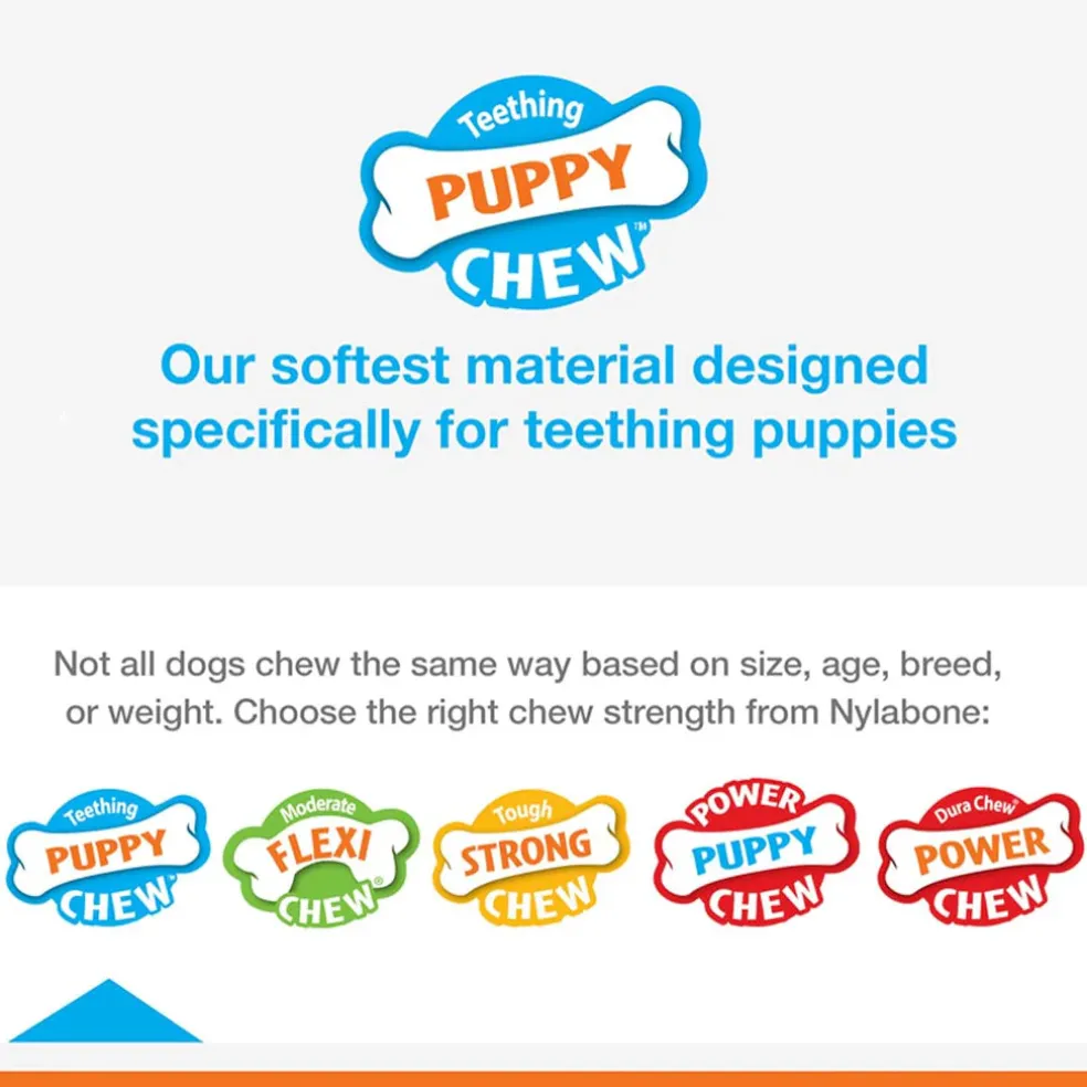Nylabone Puppy Chew Freezer Teething Chill & Chew Dog Toy, Lamb & Apple Flavor, Small/Regular
