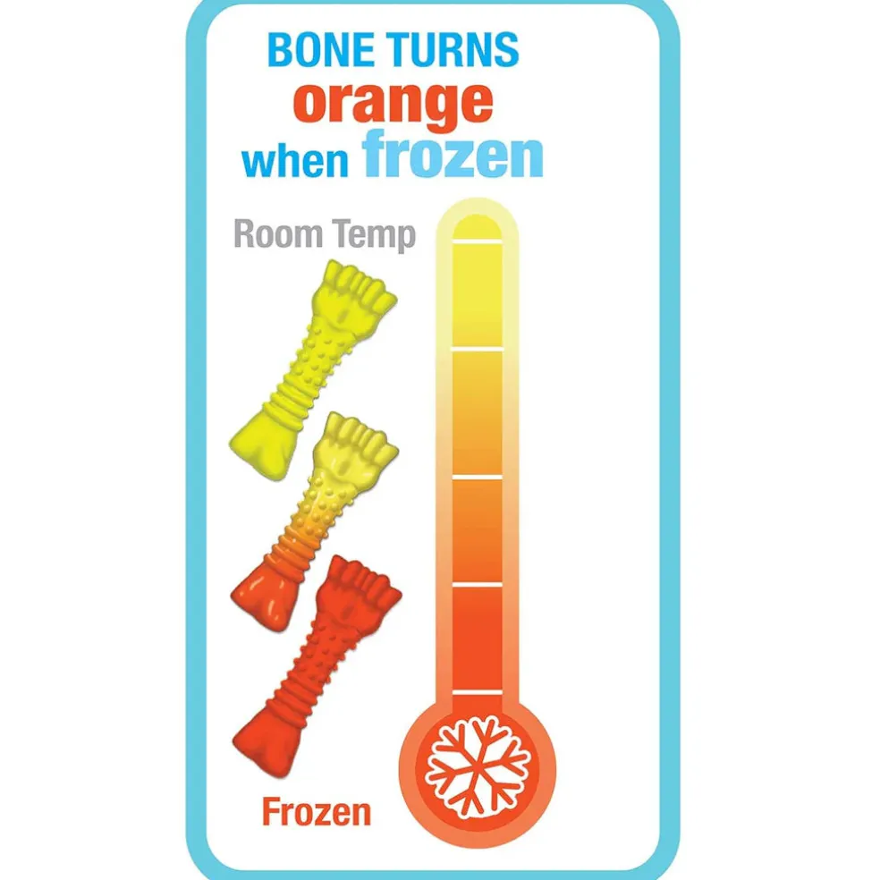 Nylabone Puppy Chew Freezer Teething Chill & Chew Dog Toy, Lamb & Apple Flavor, Small/Regular