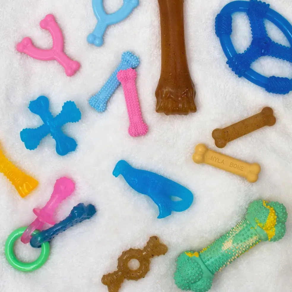 Nylabone Puppy Chew Ring Chicken Flavored Puppy Chew Toy
