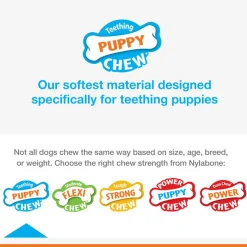 Nylabone Puppy Chew Stages Triple Pack Chewy Toys Puppy Stages Triple Pack, Medium, 3 count