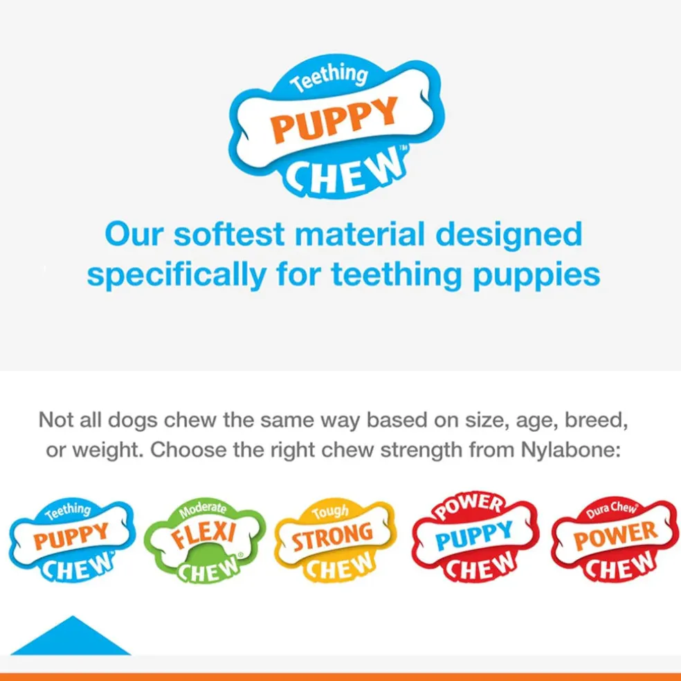 Nylabone Puppy Chew Stages Triple Pack Chewy Toys Puppy Stages Triple Pack, Medium, 3 count