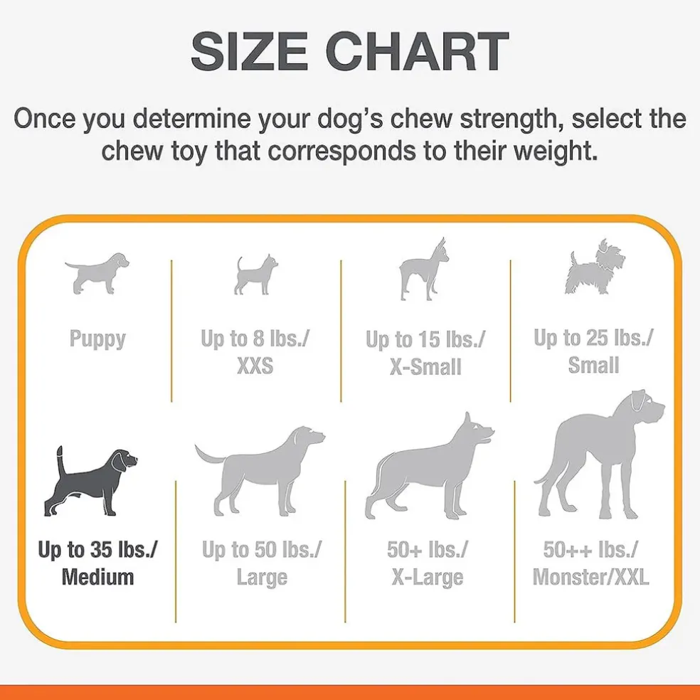 Nylabone Puppy Chew Stages Triple Pack Chewy Toys Puppy Stages Triple Pack, Medium, 3 count