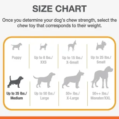 Nylabone Puppy Chew Stages Triple Pack Chewy Toys Puppy Stages Triple Pack, Medium, 3 count