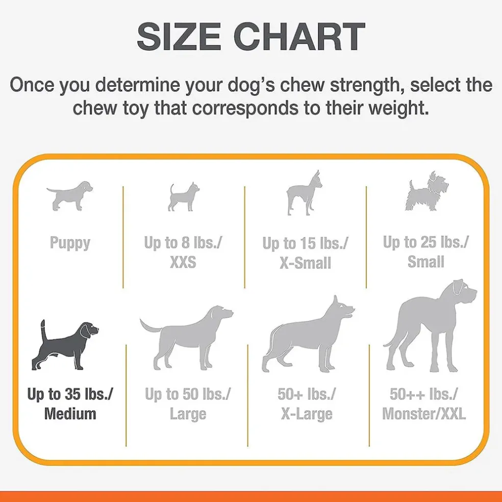 Nylabone Puppy Chew Stages Triple Pack Chewy Toys Puppy Stages Triple Pack, Medium, 3 count