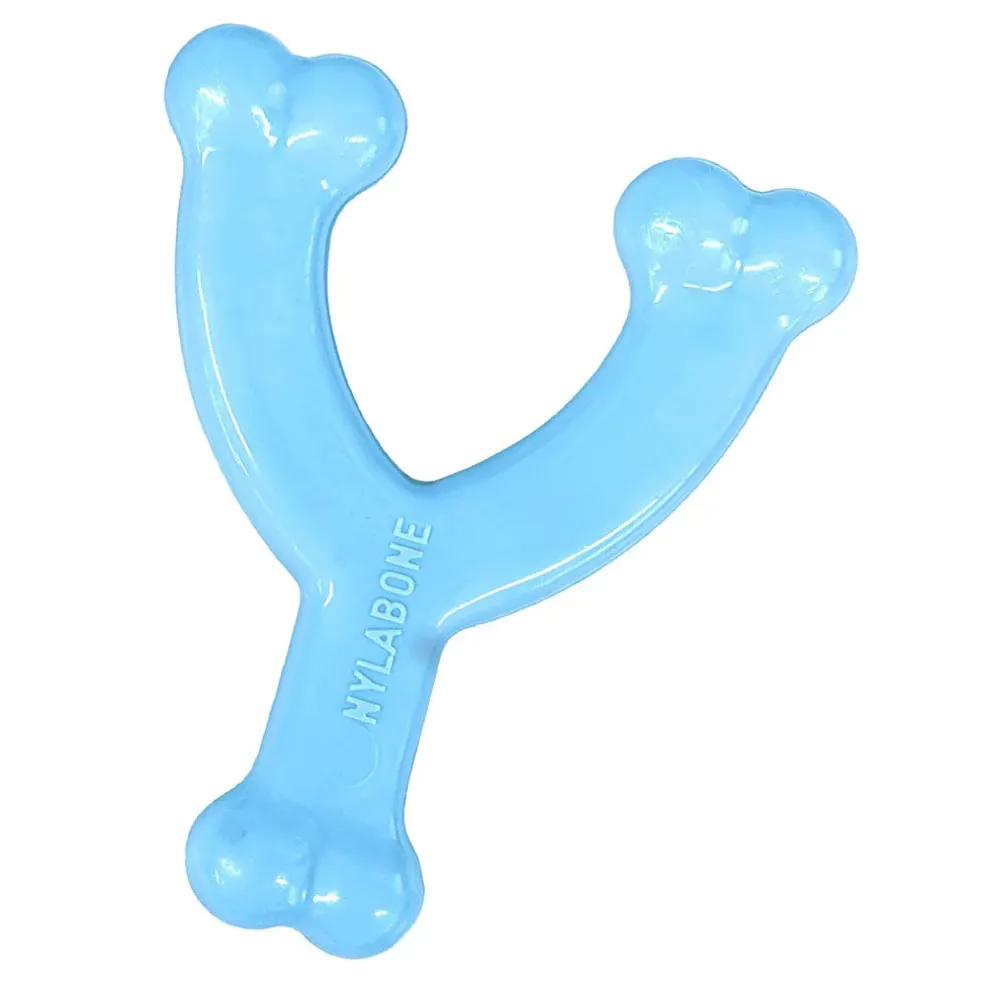 Nylabone Puppy Chew Toy Wishbone Chicken Flavor, X-Small/Petite