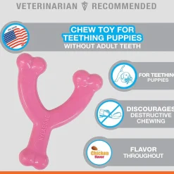 Nylabone Puppy Chew Toy Wishbone Chicken Flavor, X-Small/Petite