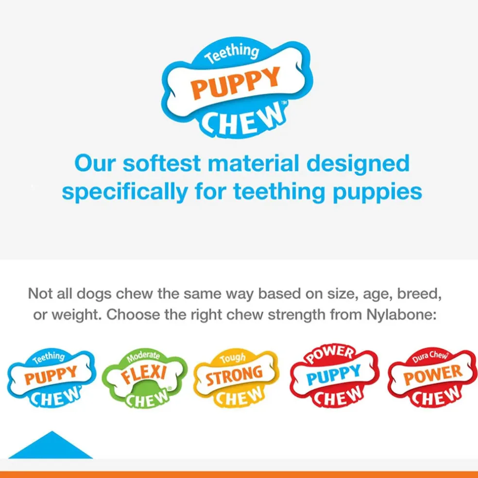 Nylabone Puppy Chew Toy Wishbone Chicken Flavor, X-Small/Petite