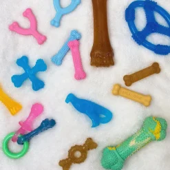 Nylabone Puppy Chew Toy Wishbone Chicken Flavor, X-Small/Petite