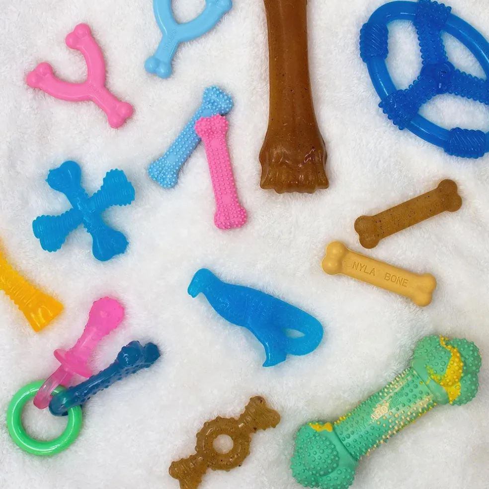 Nylabone Puppy Chew Toy Wishbone Chicken Flavor, X-Small/Petite