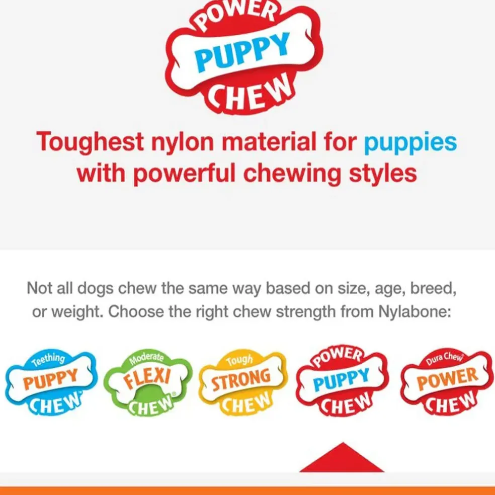 Nylabone Puppy Power Chew Teething Toy Rings Dogs Bacon Flavor, Small