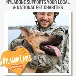 Nylabone Puppy Teething & Soothing Chew Toy Chicken Flavor