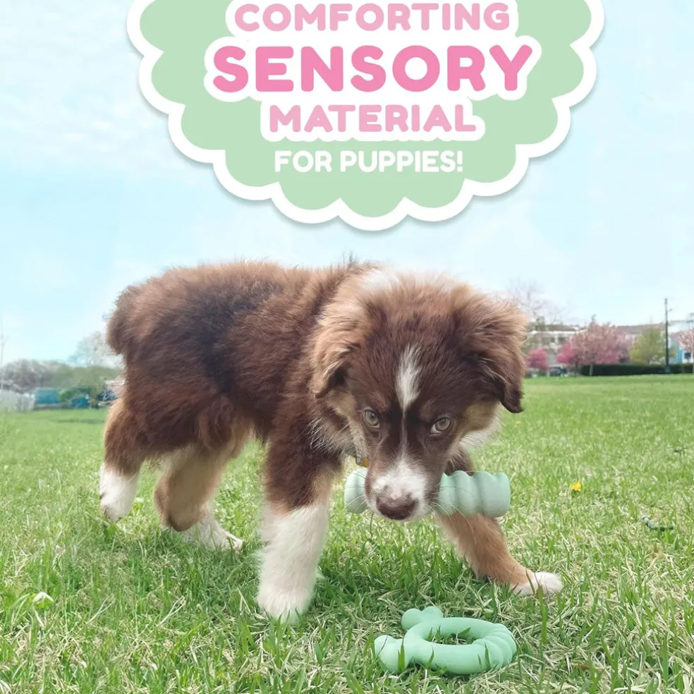 Nylabone Sensory Material Puppy Teething Ring Chicken Flavor, Small