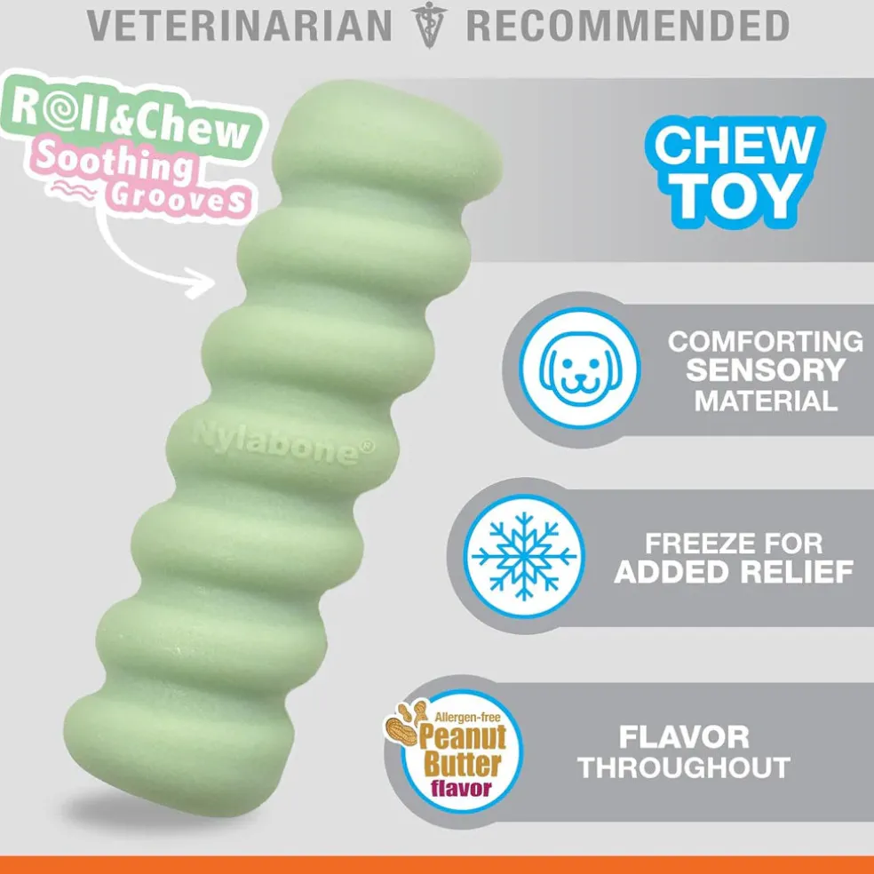 Nylabone Sensory Material Puppy Teething Stick Peanut Butter Flavor, Small
