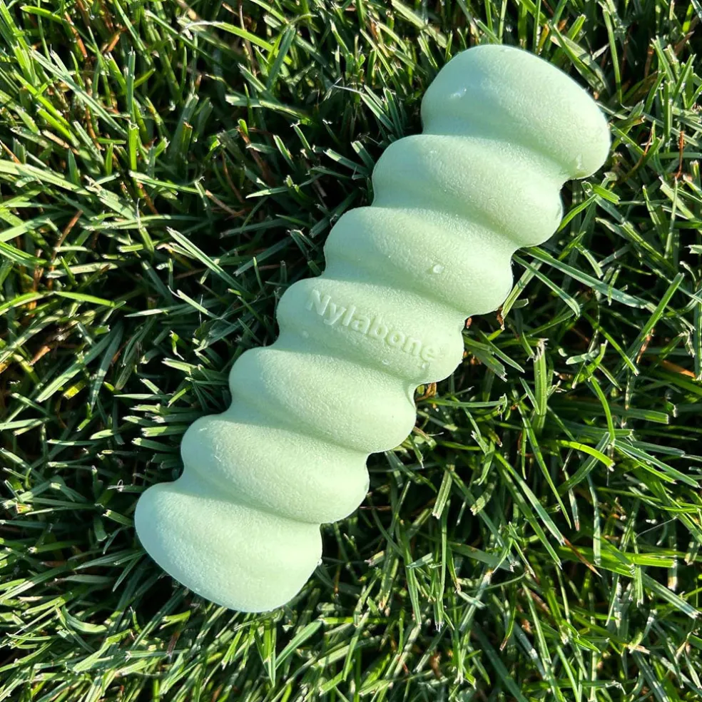 Nylabone Sensory Material Puppy Teething Stick Peanut Butter Flavor, Small