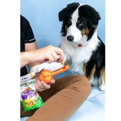 Nylabone Sneaky Snacker Bacon Flavor Dog Treat Toy, Orange