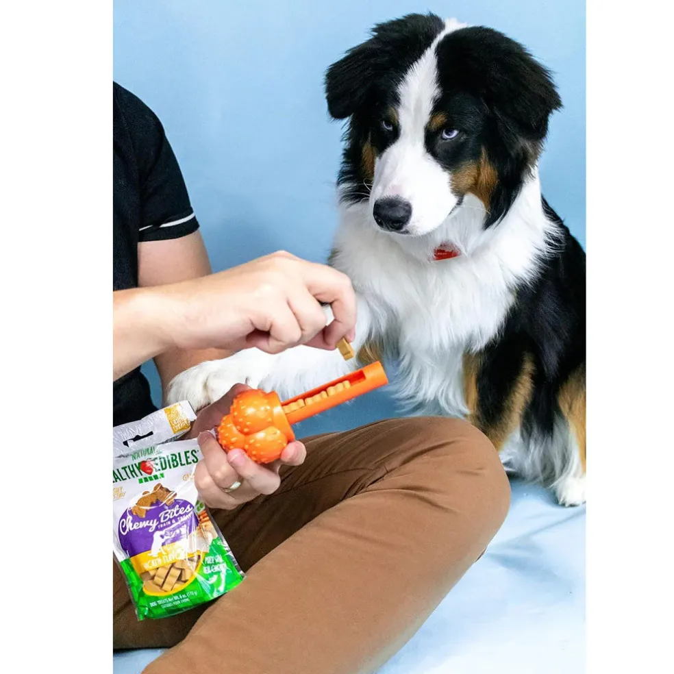 Nylabone Sneaky Snacker Bacon Flavor Dog Treat Toy, Orange