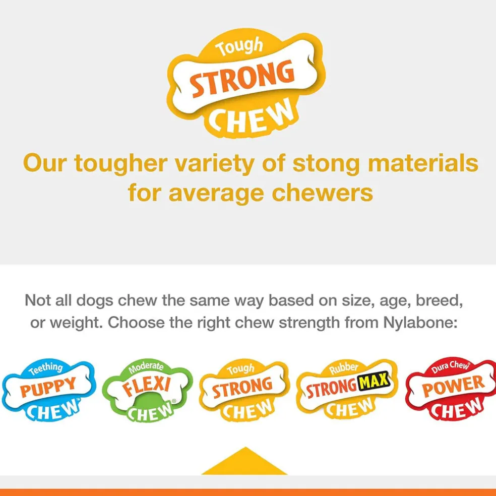 Nylabone Sneaky Snacker Bacon Flavor Dog Treat Toy, Orange