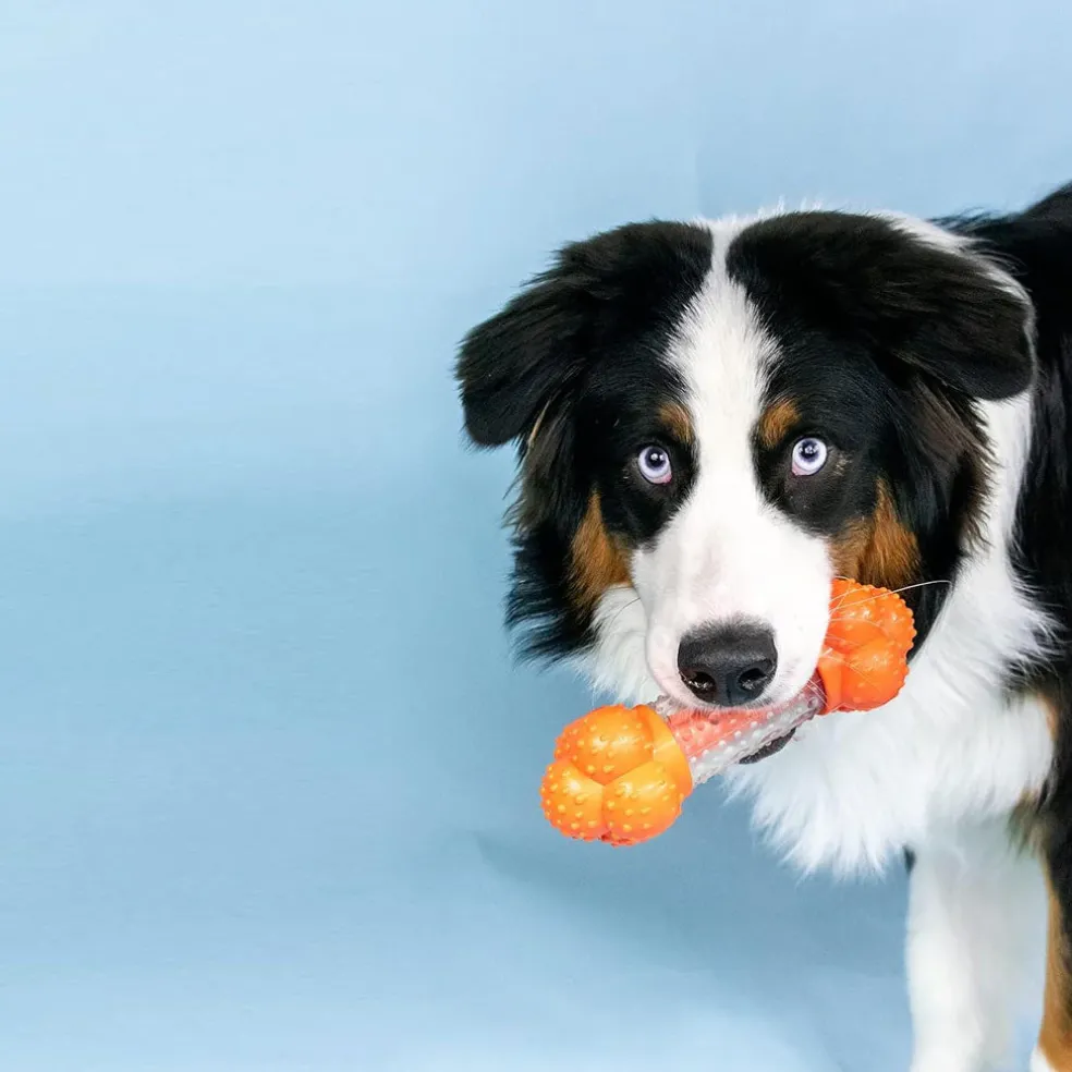 Nylabone Sneaky Snacker Bacon Flavor Dog Treat Toy, Orange