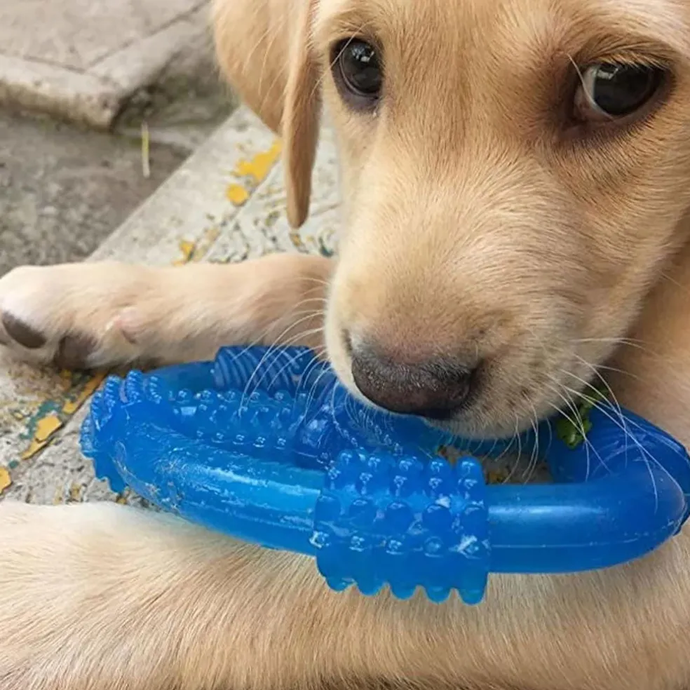 Nylabone Spin Tug & Play Puppy Chew Dog Toy, Medium/Wolf