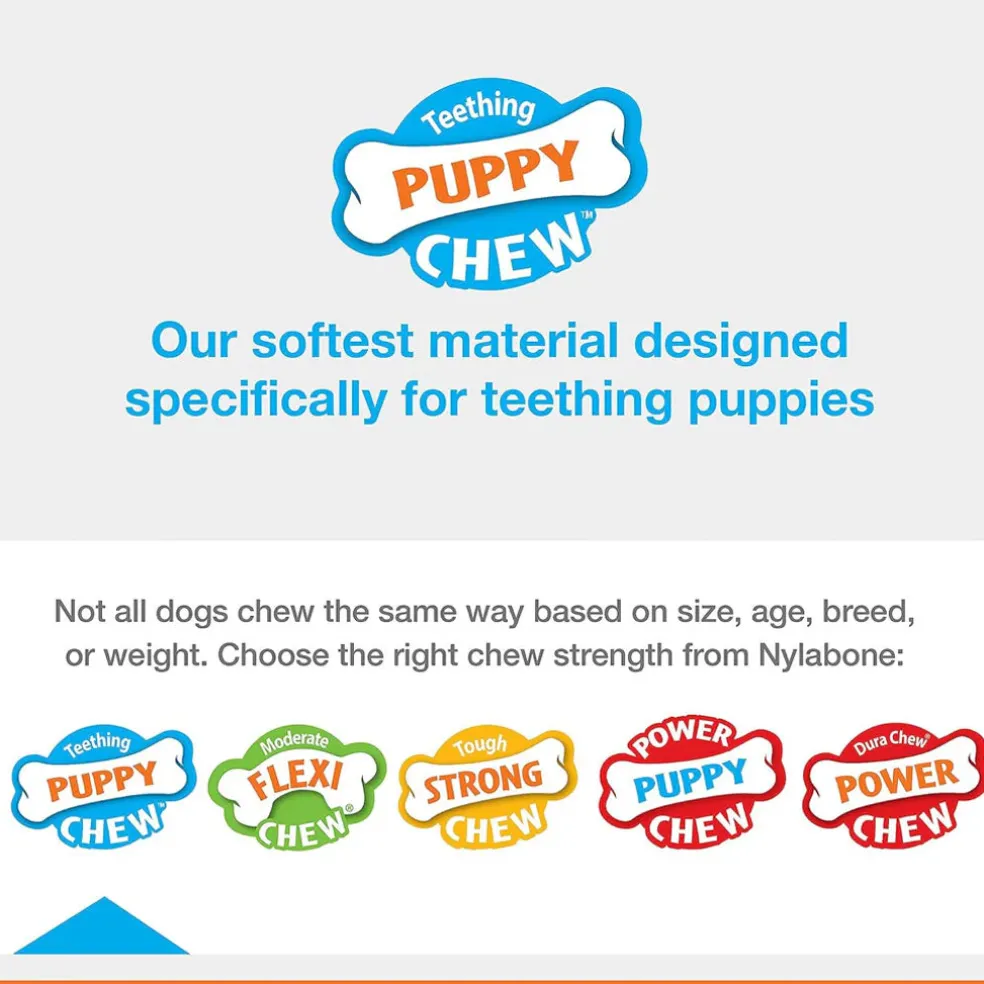 Nylabone Spin Tug & Play Puppy Chew Dog Toy, Medium/Wolf
