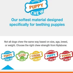 Nylabone Teething Keys Puppy Chew Bacon Flavored Dog Toy