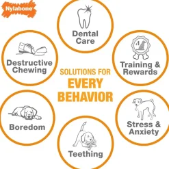 Nylabone Teething Keys Puppy Chew Bacon Flavored Dog Toy