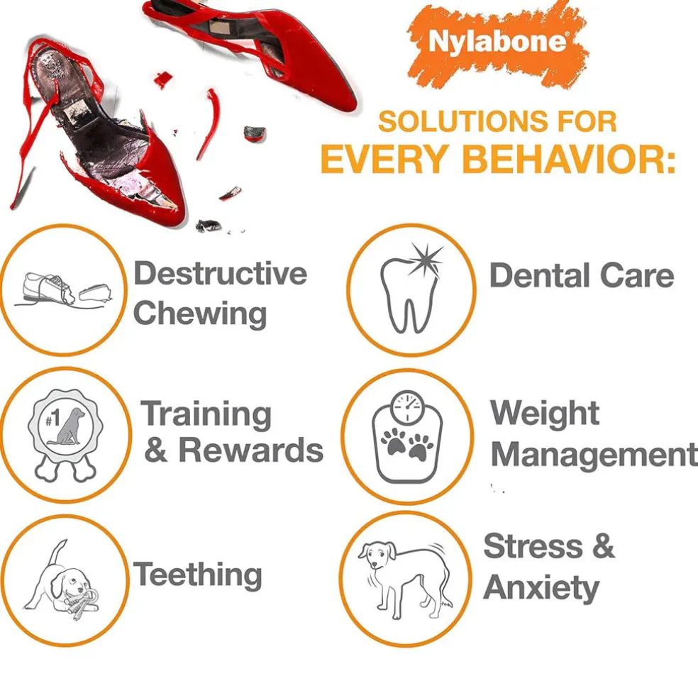 Nylabone Wishbone Dura Chew Power Chew Original Flavored Dog Toy