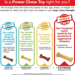 Nylabone Wishbone Dura Chew Power Chew Original Flavored Dog Toy