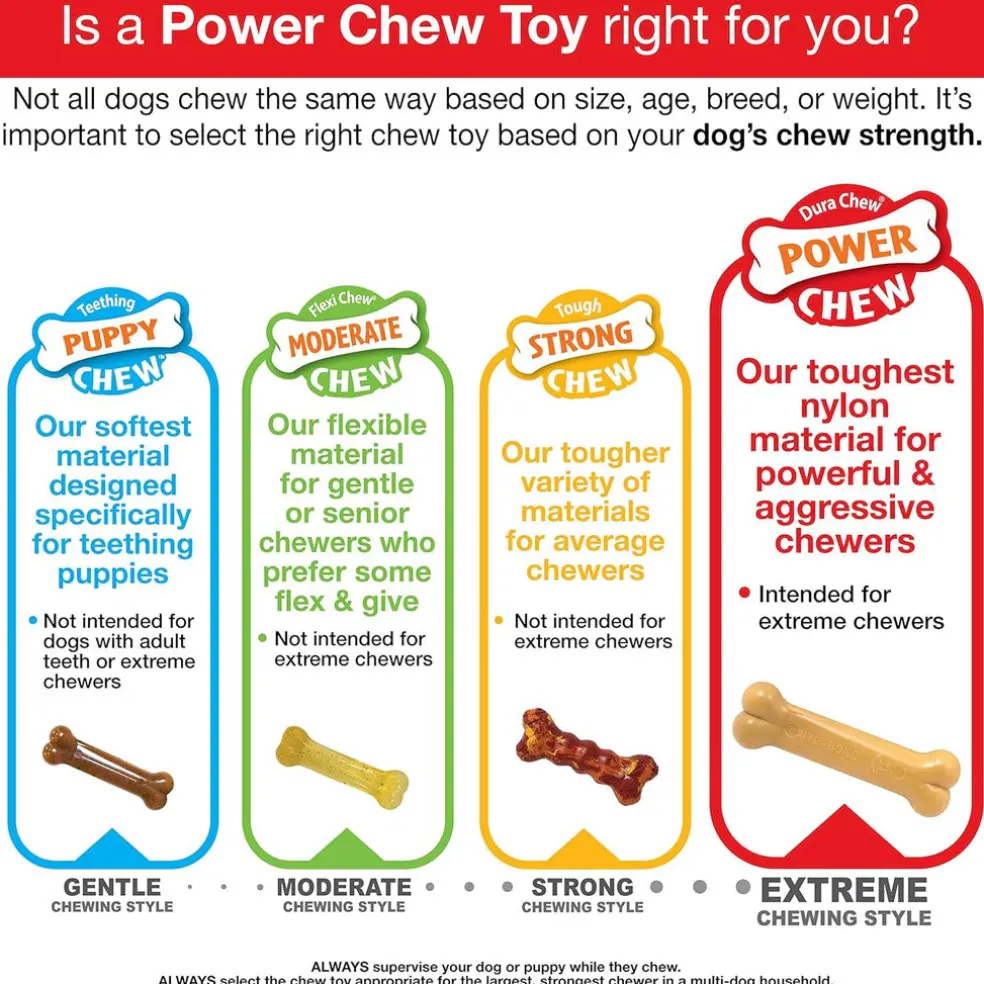 Nylabone Wishbone Dura Chew Power Chew Original Flavored Dog Toy