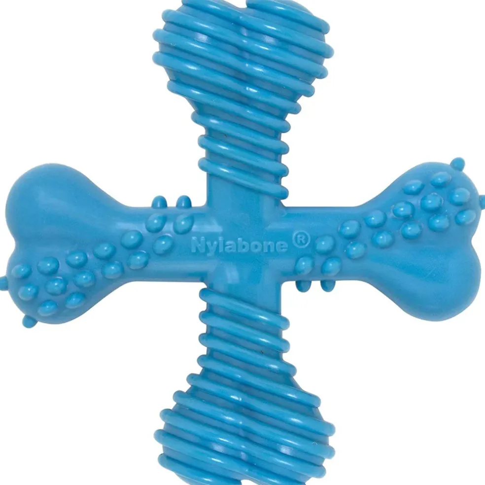 Nylabon Power Chew X Bone Chew Toy for Puppies, Beef Flavor