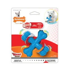 Nylabon Power Chew X Bone Chew Toy for Puppies, Beef Flavor