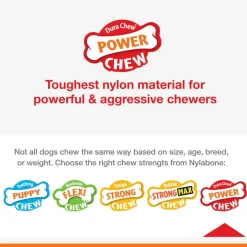 Nylabon Power Chew X Bone Chew Toy for Puppies, Beef Flavor