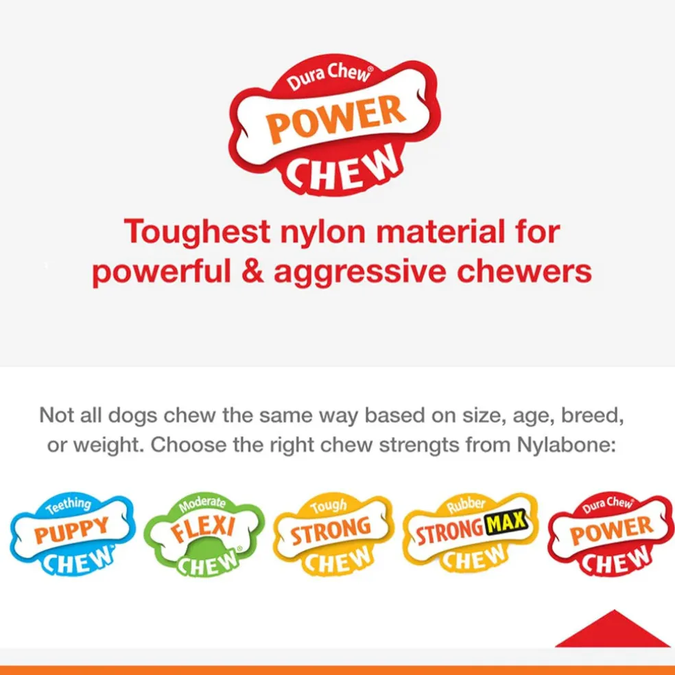 Nylabon Power Chew X Bone Chew Toy for Puppies, Beef Flavor