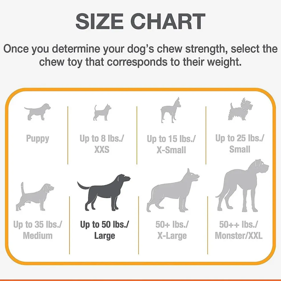 Nylabon Power Chew X Bone Chew Toy for Puppies, Beef Flavor