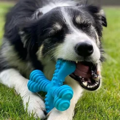Nylabon Power Chew X Bone Chew Toy for Puppies, Beef Flavor