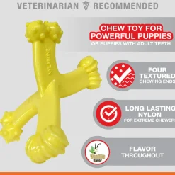 Nylabon Puppy Power Chew Axis Bone Nylon Chew Toy Vanilla Flavor, Small/Regular