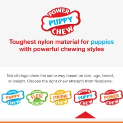 Nylabon Puppy Power Chew Axis Bone Nylon Chew Toy Vanilla Flavor, Small/Regular