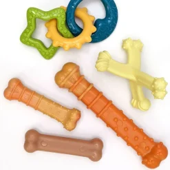 Nylabon Puppy Power Chew Axis Bone Nylon Chew Toy Vanilla Flavor, Small/Regular