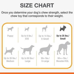 Nylabon Puppy Power Chew Axis Bone Nylon Chew Toy Vanilla Flavor, Small/Regular