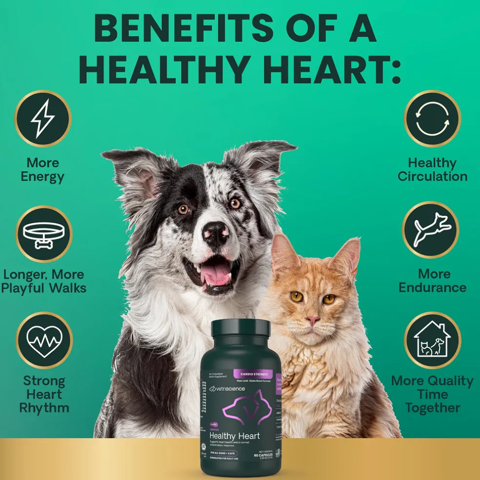 Omega Healthy Heart Capsules for Cats and Dogs