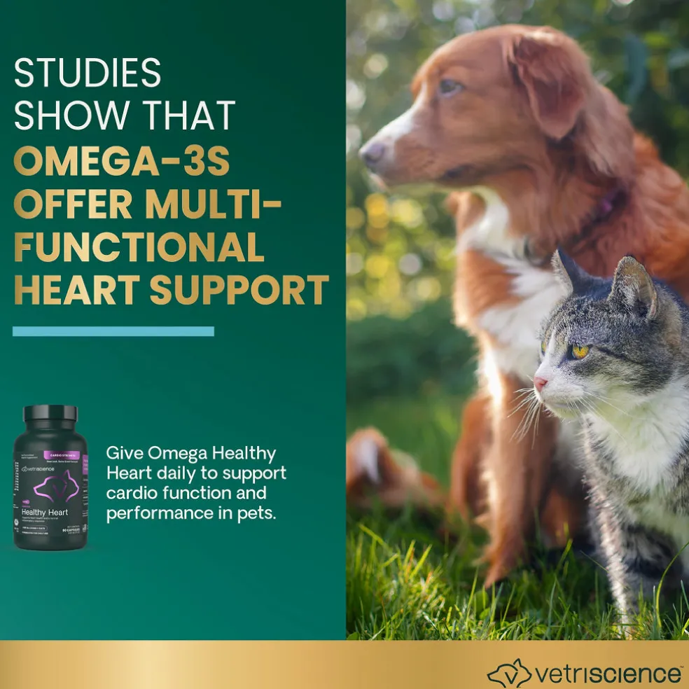 Omega Healthy Heart Capsules for Cats and Dogs