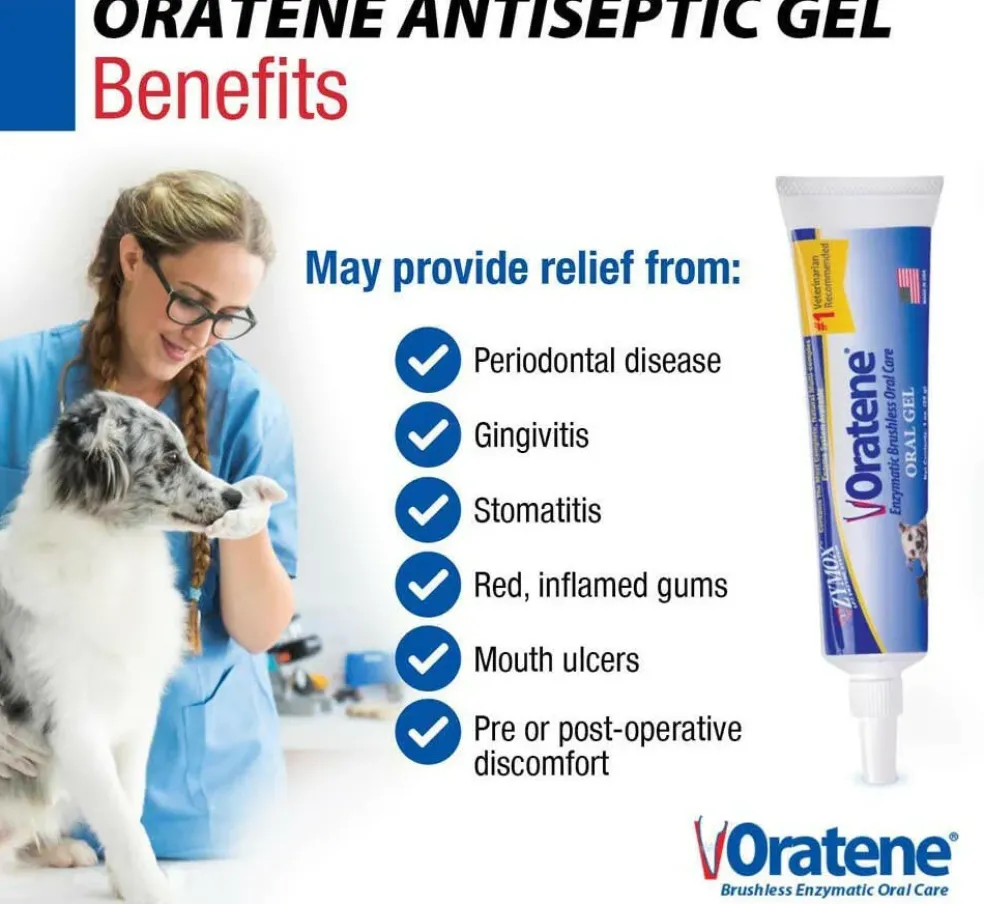 Oratene Brushless Oral Gel for Dogs & Cats (1oz)