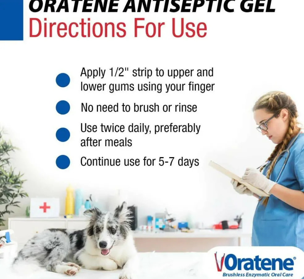 Oratene Brushless Oral Gel for Dogs & Cats (1oz)