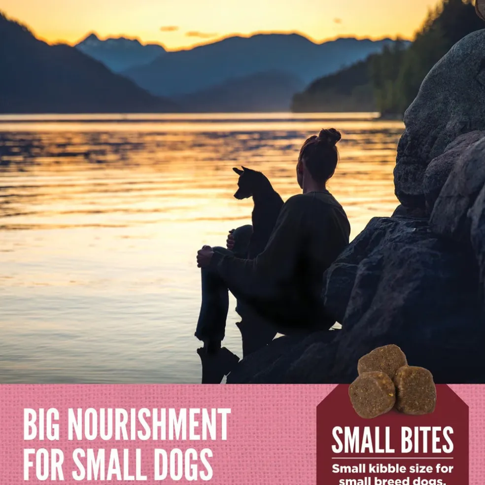 ORIJEN Amazing Grains High-Protein Small Breed Dry Dog Food